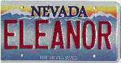 Nevada Souvenir ELEANOR plate... for display only