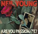Are You Passionate by Neil Young - has 'Let's Roll' on it